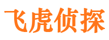 山南市侦探调查公司